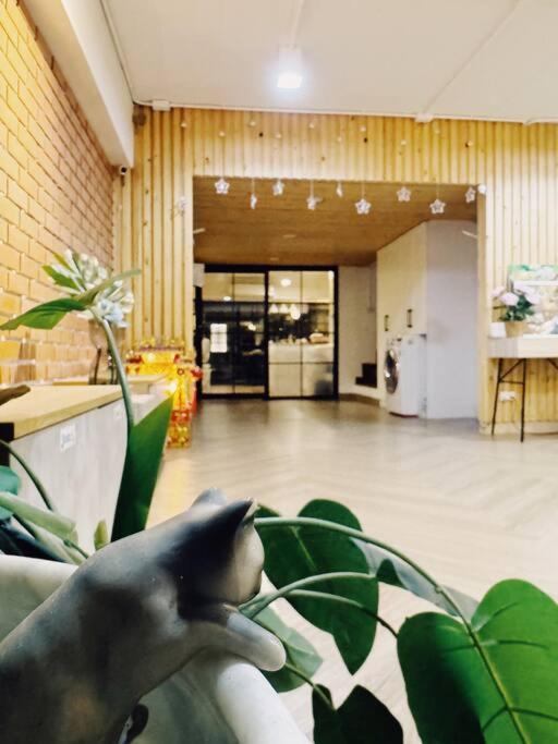 Căn hộ Double Studio, Private Bath & Balcony, Shared Kitchen With Local Family By Pillows & Purrs